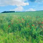 Irmchen Altglobsow